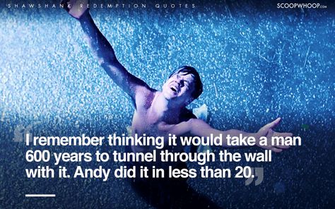 20 Powerful Quotes From The Shawshank Redemption That Make It A Movie That Can Never Be Remade Shawshank Redemption Quotes, Redemption Quotes, Tim Robbins, The Shawshank Redemption, Famous Movie Quotes, Movie Posters Design, Make You Believe, Top Quotes, Film Quotes