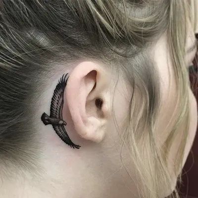 Eagle Behind Ear Bird Tattoo Behind Ear, Back Ear Tattoo, Lower Belly Tattoos, Small Eagle Tattoo, Tattoo Behind Ear, Hawk Tattoo, Belly Tattoos, Small Girl Tattoos, Eagle Tattoos