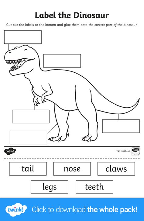 Learn all about dinosaurs with this fun set of labelling worksheets! With three different dinosaurs to choose from, encourage your children to label the different parts of the dinosaur with the parts provided. Click to download the resource pack and find more dinosaur-related resources over on the Twinkl website.   #dinosaurs #dinosaur #labelling #worksheets #teaching #teachingresources #teachingideas #teacher #teach #homeschooling #parents #twinkl #twinklresources #education Dinosaur Kindergarten Worksheets, Dinasour Worksheets Preschool, Dinosaur Theme Worksheets, All About Dinosaurs, Types Of Dinosaurs Preschool, Dinosaur Worksheets Kindergarten, Preschool Dinosaur Worksheets, Dinosaur Lessons For Kindergarten, Dinosaurs For Kindergarten