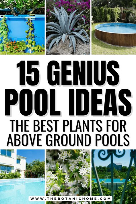 15 Best Plants For A Beautiful Above-Ground Pool Area - The Botanic Home Flower Bed Around Pool Ideas, Garden With Pool Ideas, Plants Around Above Ground Pool, Arizona Pool Landscaping Ideas, Above Ground Pool Decor, Arizona Pools, Rectangle Pool, Full Sun Plants, Best Plants