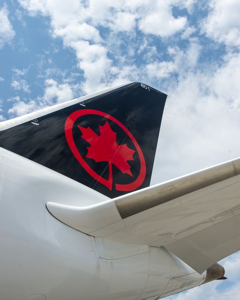 Air Canada supports industry mergers as ... Air Canada Wallpaper, Air Canada, Air Canada Aesthetic, United Airlines Wallpaper, Qantas Plane Aesthetic, Air Canada Flight Attendant, Air Canada Plane, United Airlines Business, Travel Agency Logo