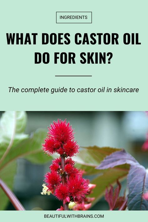 Uses Of Castor Oil, Castor Oil Uses, Castor Oil For Skin, Remove Skin Tags Naturally, Pure Castor Oil, Castor Oil Benefits, Castor Oil Packs, Oil For Skin, Skin Natural Remedies