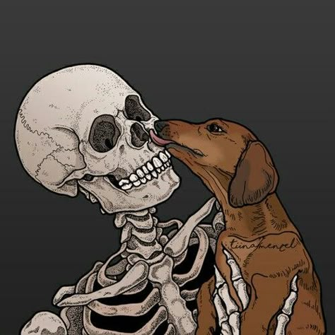 Skeleton Artwork, Skeleton Drawings, Dog Skeleton, Skeleton Art, A Skeleton, Skull Wallpaper, Dog Wallpaper, Skull Art, Dark Wallpaper