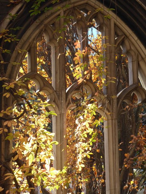 picturesque on Tumblr St Dunstan In The East, Greg Lake, Semper Fidelis, Taylor Swift Fearless, Taylor Swift Album, Dragon Age, Middle Earth, East London, Fire Emblem