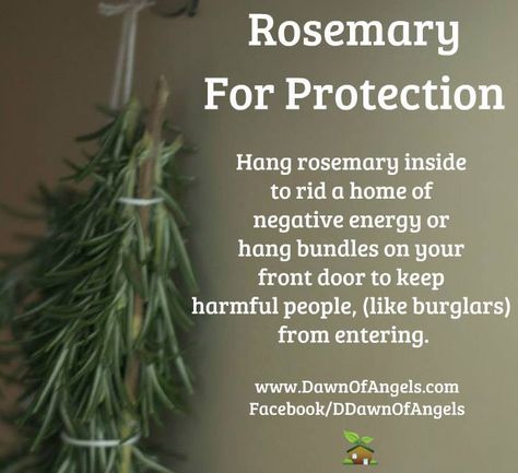 Rosemary Witch House Protection, Angel Magic, Smudging Prayer, House Magic, House Cleansing, Magickal Herbs, Witchy Tips, Witch Herbs, Magia Das Ervas