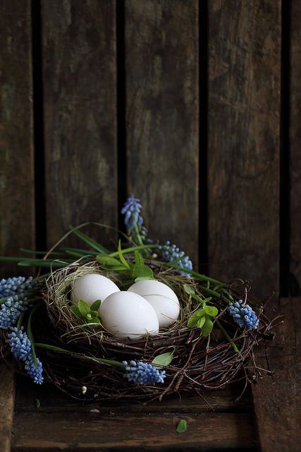 Easter eggs | da Angel-lika Country Easter, Easter Nests, Easter Arrangement, Food Photography Ideas, Easter Spring Decor, Bird Nests, Decoration Easter, Spring Decorations, Easter Inspiration