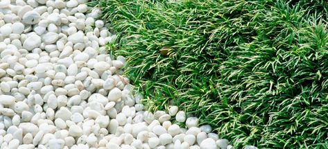 White Pea Gravel, Small Backyard Decks, Pea Gravel Patio, Vertical Vegetable Gardens, Gravel Landscaping, Decorative Pebbles, Gravel Patio, Vegetable Garden Diy, Backyard Vegetable Gardens