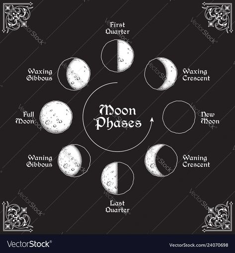 Antique style moon phases circle ... Moon Phases In A Circle, Moon Phases Tattoo Circle, Circular Moon Phases Tattoo, Moon Phases Circle Tattoo, Moon Phases Circle, Moon Phases Drawing, Signs Elements, Poster Tattoo, Tattoo Friends