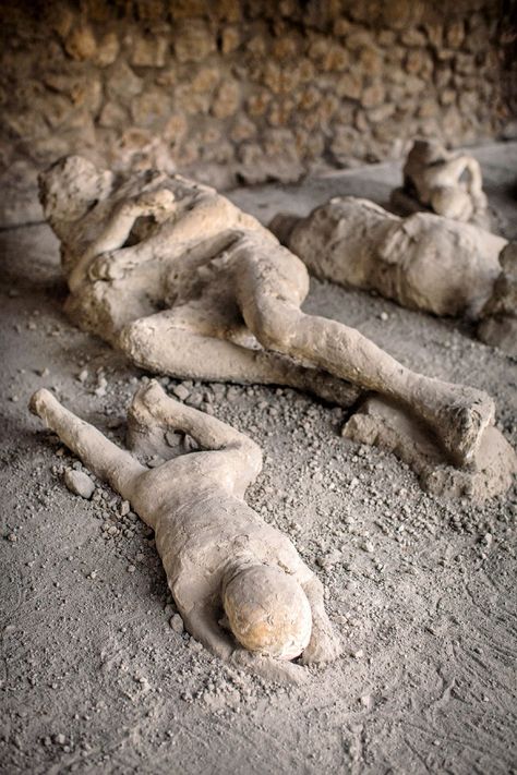 The Casts - Pompeii Sites Pompeii Bodies, Unbelievable Pictures, Roberto Rossellini, Pyroclastic Flow, Pumice Stones, Pompeii Italy, Pompeii And Herculaneum, Glass Showcase, Ancient Mysteries