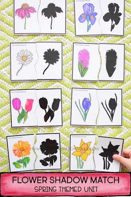 Spring Preschool and Kindergarten Activities Spring Math Activities Preschool, Flowers Kindergarten, Flower Math, Spring Kindergarten Activities, Spring Learning Activities, Spring Math Activities, Kindergarten Units, Spring Kindergarten, Plant Activities