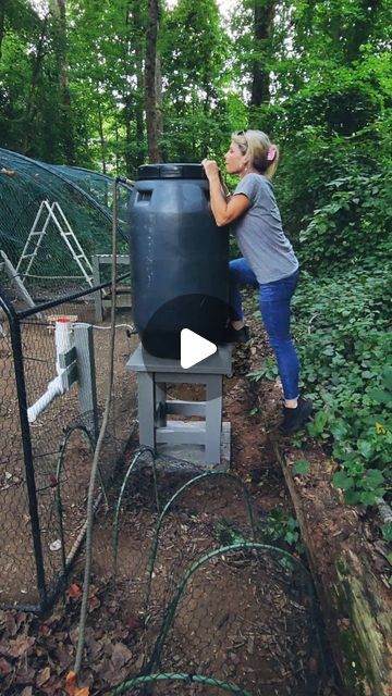 Katie Williams on Instagram: "We converted our @thechickenfountain from the garden hose to a rain barrel & it was so easy! The @thechickenfountain is so versatile, if you need a low maintenence watering system check it out! #chickenfountain #chickens #rainbarrel #diy #chickenrun #chickentunnel" Rain Barrel Waterer For Chickens, Chicken Watering System Diy, Chicken Coop Watering System, Rain Barrel Diy, Barnyard Chickens, Chicken Watering System, Katie Williams, Glitter Pens Art, Rain Barrel System