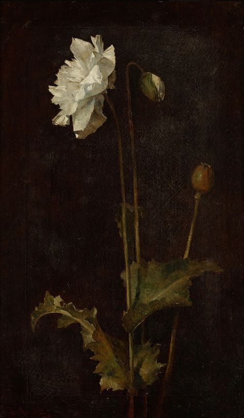 Dark Flowers Painting, Castlevania Wallpaper, Rennaissance Art, Dark Flowers, Old Paintings, Vintage Poster Art, Aesthetic Painting, Painting Wallpaper, Ethereal Art