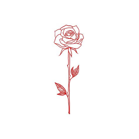 @freyaslefler Aesthetic Rose Tattoo, Rose Tattoo Aesthetic, Drawing Of A Rose, Simple Rose Tattoo, Kunst Tattoos, Shape Tattoo, Couple Drawing, Muster Tattoos, Drawing Eyes