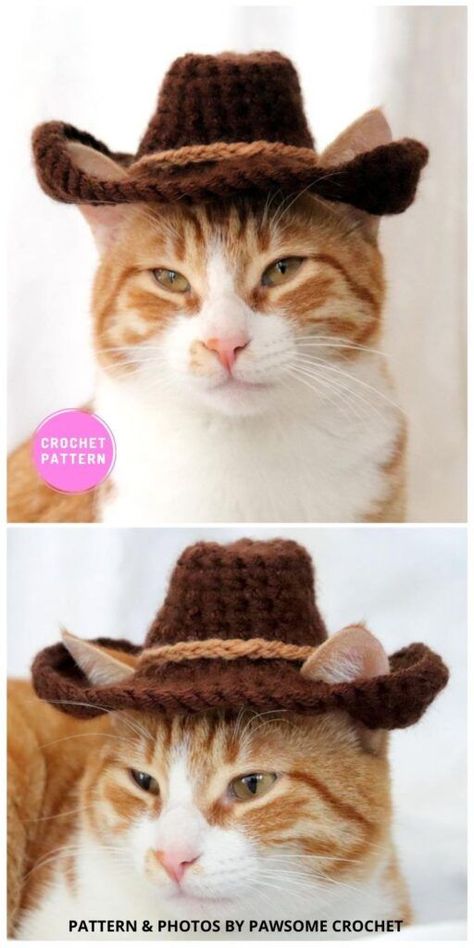 Crochet Cat Cowboy Hat Pattern, Cat Cowboy Hat Crochet, Crochet Hats For Cats Pattern Free, Cowboy Hat Crochet Pattern Free, Crochet Cat Clothes Pattern Free, Crochet Hat For Cat Pattern Free, Free Crochet Cat Hat, Cat Clothes Crochet, Cat Hat Crochet Pattern Free