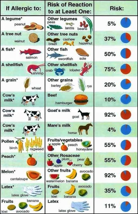 This is a comprehensive list of things they will not eat: | 5 Types Of OCD Friends You Know And Love Food Allergies Awareness, Lentils Beans, Allergy Awareness, Organic Recipes Healthy, Peanut Allergy, Asthma Symptoms, Food Allergens, Allergy Testing, Food Intolerance