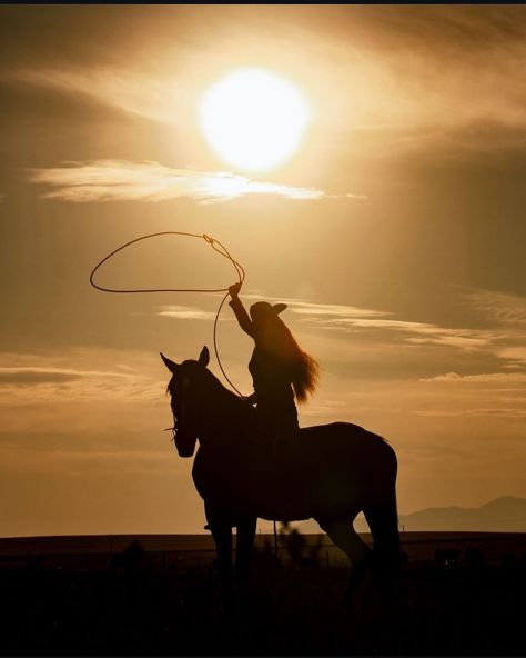 Buckle up buttercup. 💛 • • #westernstyle #westernfashion #horsegirl Ellen Everett, Let Us Live Like Flowers, Cowgirl On Horse, Buckle Up Buttercup, Wild Horses Photography, Western Photoshoot, Cowgirl Quotes, Horse Pics, Flowers Wild