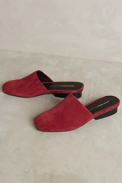 Intentionally Blank Suede Slides Velvet Mules, Intentionally Blank, Fall Winter Shoes, Suede Slides, Slip On Mules, Winter Shoes, Sock Shoes, Shoe Brands, Leather Heels