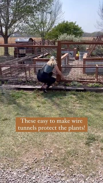 Megan Austin on Instagram: "I filmed these DIY chicken tunnels last spring and wanted to share it again! These are cheap and easy. They protect garden vegetables and flowers from free range chickens, trampling dogs and even some digging pests like rabbits. I do not stake mine down, I like to be able to lift them up for easy weeding. I do recommend blocking off the ends of the tunnel, otherwise you will inevitably have a really smart chicken that figures out how to get in. Don’t underestimate t Protect Garden From Chickens, Chicken Tunnel, Chicken Tunnels, Future Farms, Diy Chicken, Garden Vegetables, Free Range Chickens, Plant Tags, Chicken Diy