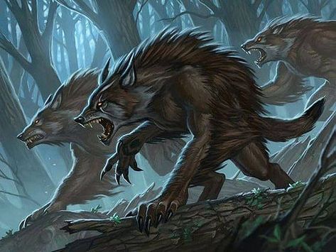 Werewolf Concept, Mtg Art, Werewolf Art, Vampires And Werewolves, Dnd Monsters, Dungeons And Dragons Homebrew, Fantasy Monster, Wolf Art, Creature Concept