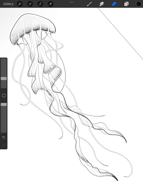 Jellyfish Line Drawing, Jellyfish Outline, Fish Outline, Jellyfish Tattoo, Sgraffito, Marine Life, Jellyfish, Tattoos And Piercings, Line Drawing