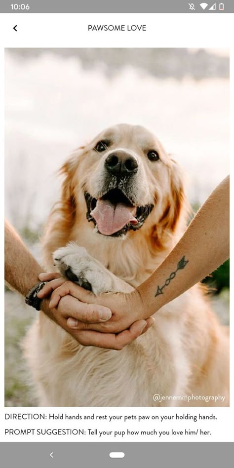 Dog Family Pictures, Family Dog Photos, Pet Photography Poses, Dog Photoshoot Pet Photography, Family Pet Photography, Dog Photography Poses, Behavior Tips, Shooting Couple, Colorful Hairstyles