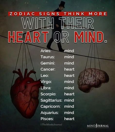 What do you listen to? Your heart or mind? #zodiac #zodiacsigns zodiactraits Zodiac Cusp, Zodiac Sign Aries, Mbti Types, Zodiac Elements, Listen To Your Heart, Scary Things, Zodiac Funny, Crazy Facts, You Are Smart