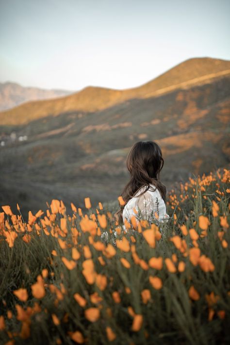 Walker Canyon Poppy Fields California Poppy Field, Flower Field Photography, Antelope Valley Poppy Reserve, California Native Plants, Kodak Moment, Poppy Field, Fields Photography, California Poppy, Before Sunset