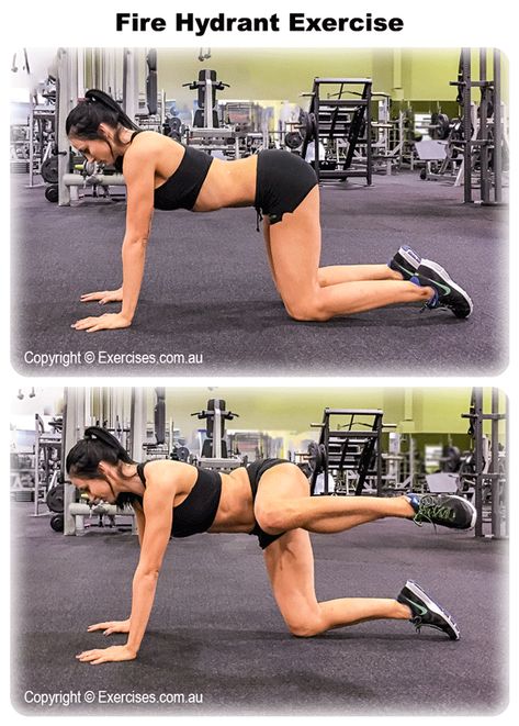 Fire Hydrant Exercise, Mountain Climber Exercise, Fire Hydrant Workout, Oblique Muscles, Rectus Abdominis, Wedding Workout, Fitness Facts, Ab Workout Men, Hip Flexor Stretch