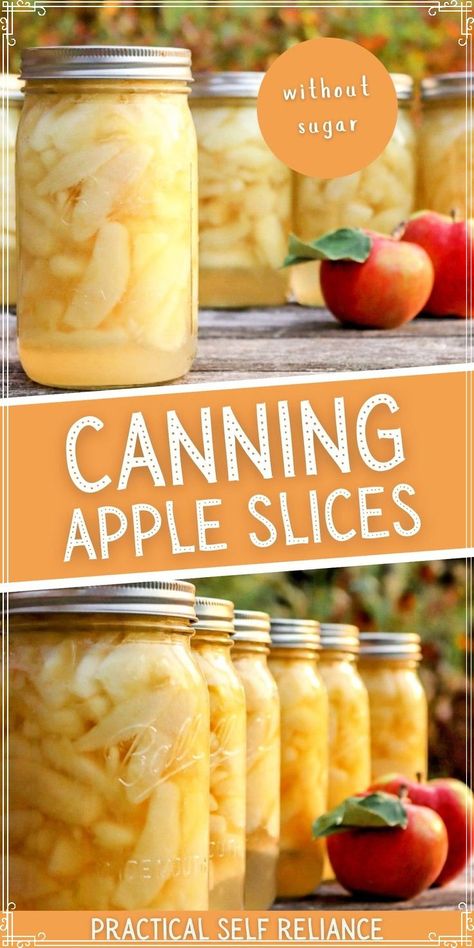 Preserve Apple Slices, Apple Canning Recipes, Keep Apples From Turning Brown, Apple Canning, Creative Canning, Canning Fruit Recipes, Canning Apples, Easy Canning, Pressure Canning Recipes