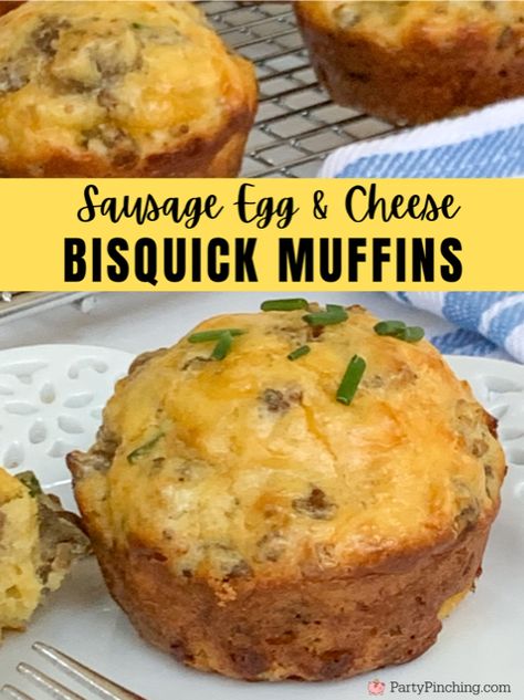 Easy Meal For Hosting, Sausage Egg Muffins Bisquick, Bus Quick Sausage Muffins, Breakfast Biscuit Bites, Sausage Cheese Pancake Muffins, Cheddar Sausage Muffins, Sausage Egg Biscuit Muffins, Sausage Buiscits, Breakfast Recipes With Bisquick