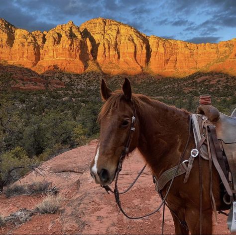 When you visit Sedona, you will want to explore the outdoors in our beautiful northern Arizona home. Sedona offers many different outdoor activities, with one popular option being horseback riding. @a_semder #VisitSedona #BookDirect #SedonaArizona #VacationRentals #RedRocks #SedonaAZ #State48 #DreamVacation #ExploreSedona #ExploreAZ⁣ #ILoveSedona #Sedona #Arizona #VacationDestination #HorsebackRiding #OnHorseback #VisitArizona #NorthernArizona #OutdoorFun #FamilyAdventure #ArizonaOnHorseback Arizona Aesthetic, Sedona Travel, Visit Sedona, Desert Dream, Sedona Az, Northern Arizona, Arizona Travel, Arizona Usa, Sedona Arizona