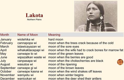 Moon Meaning, Moon Names, Lakota Sioux, Native Pride, Sore Eyes, Native American History, My Heritage, Native American Art, American Art