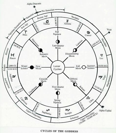 The Wheel of Procession Astrology Houses, Feminine Strength, Zodiac Wheel, Jyotish Astrology, Magic System, Sacred Circle, Pisces Moon, Birth Chart Astrology, Sigil Magic