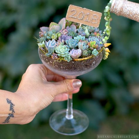 Terrarium Ideas Unique, Landscape Design Backyard, New Years Cocktail, Garden Bonsai Tree, Strings Of Pearls, Succulents In Glass, Backyard Landscape Design, Gardening Design Diy, Design Backyard