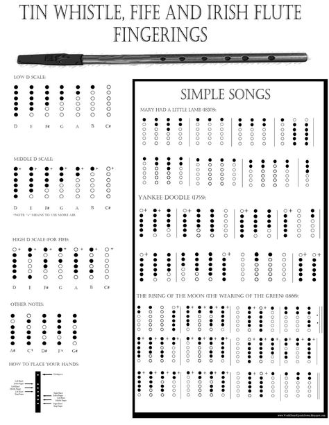 World Turn'd Upside Down: Tin Whistles, Penny Whistles, Irish Whistles and Fifes Flute Fingering Chart, Whistle Notes, Flute Songs, Tin Whistles, Historical Cooking, Penny Whistle, Native American Flute Music, Irish Flute, Native Flute