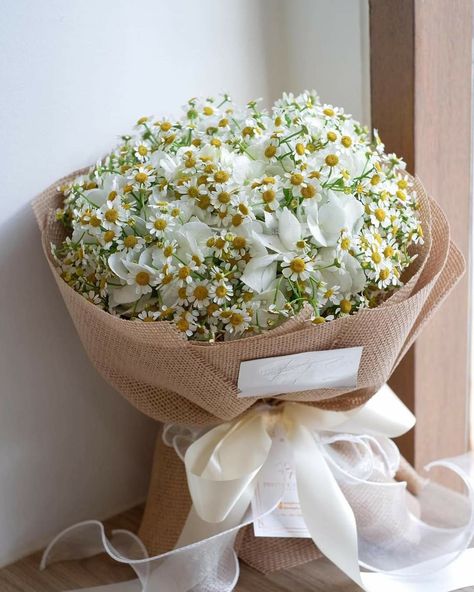 Halloween Baby Shower Theme, Daisy Bouquet, Baby Breath, Feather Wedding, Beautiful Bouquet Of Flowers, Healthy Skin Care, Beautiful Bouquet, Flower Photos, Baby Halloween