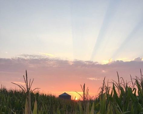 Nora Goes Off Script, Nora Aesthetic, Script Aesthetic, Farm Sunrise, Farm Journal, Sustainable Management, Crop Production, Virtual Reality Technology, Ducks Unlimited