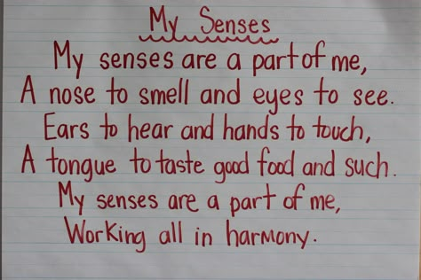 Preschool 5 Senses, 5 Senses Preschool, My 5 Senses, Five Senses Preschool, 5 Senses Activities, All About Me Theme, Senses Preschool, My Five Senses, The 5 Senses