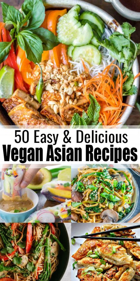 Vegetarian Asian, Thai Fried Rice, Vegan Pad Thai, Vegan Asian Recipes, Mapo Tofu, Vegan Asian, Easy Asian Recipes, Summer Rolls, Vegan Dinner