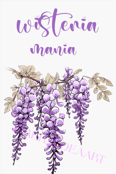 wisteria mania - artwork, drawing, doodle, art print, sticker, pillow, mug Wisteria Doodle, Bridgerton Tattoo Ideas, Wisteria Drawing, Wisteria Art, Dangling Flowers, Cafe Frases, Wisteria Purple, Batik Painting, Wisteria Flowers