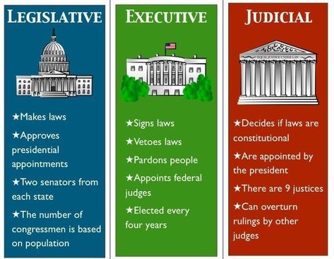 3 Branches Of Government, 3rd Grade Social Studies, 4th Grade Social Studies, 5th Grade Social Studies, Homeschool Social Studies, Branches Of Government, Jamie Hewlett, American Government, Homeschool History