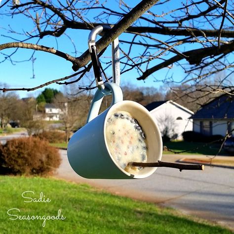 How to create a super simple suet feeder from a spare coffee mug.  To find out all the steps and materials used, please check out my original post! Like I said.… Suet Bird Feeder, Bird Suet, Suet Feeder, Homemade Bird Feeders, Diy Bird Feeder, Diy Birds, Bird Seed, Diy Coffee, Backyard Birds