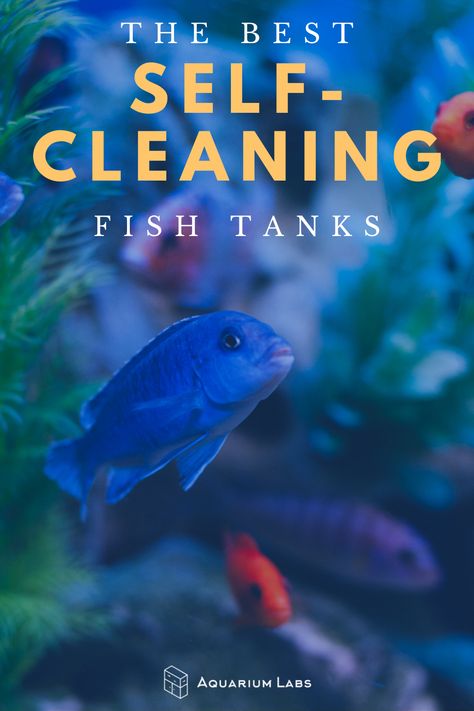 Fish Tank For Kids, Cleaning Fish Tank, Self Cleaning Fish Tank, Tank Aquariums, Unique Fish Tanks, Plastic Fish Tank, Fish Ideas, Fish Keeping, Community Tanks