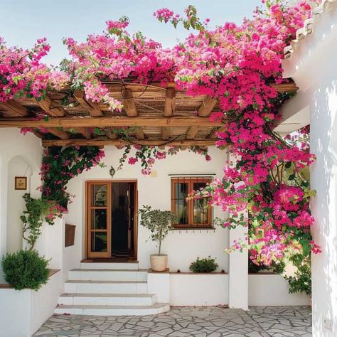 Bougainvillea Front Of House, Buganvilla Ideas Yards, Bougainvillea Fence, Bougainvillea Planting Ideas, Bougainvillea House, Carribean House, Small Cottage House, Bougainvillea Plant, Easy Pumpkin Pie Recipe