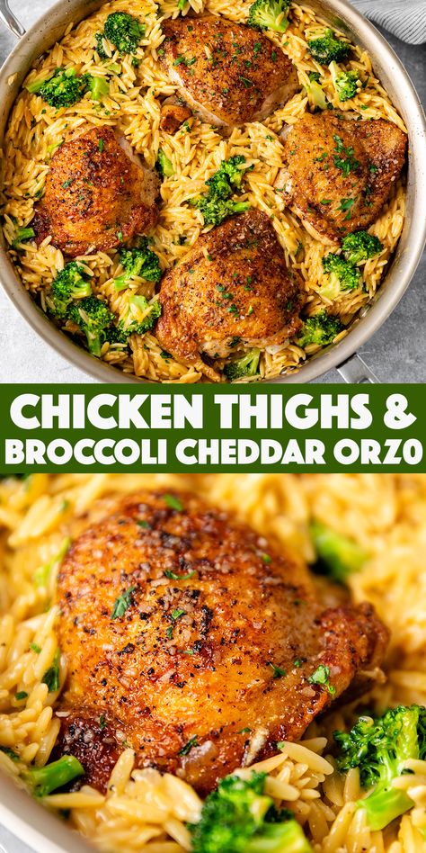 Skillet Chicken Thighs with Broccoli Cheddar Orzo - juicy golden brown chicken thighs with cheesy orzo and broccoli all cooked together in one pan! Broccoli Cheddar Orzo, Cheddar Orzo, Broccoli Orzo, Orzo Skillet, Skillet Chicken Thighs, Chicken Casserole Recipes, Cheesy Broccoli, Savory Chicken, Health Dinner