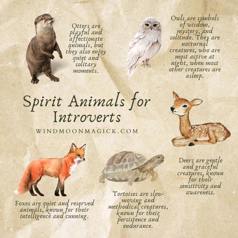 Spirit Animals and the Introverted Witch: Unlocking Solitary Magic — Wind Moon Magick Stag Spirit Animal Meaning, Forest Creatures Mythical, What Is My Spirit Animal, Spirit Animal Owl, Animal Omens, Deer Spirit Animal, Spirit Animal Fox, Spirit Animals Book, Horse Spirit Animal