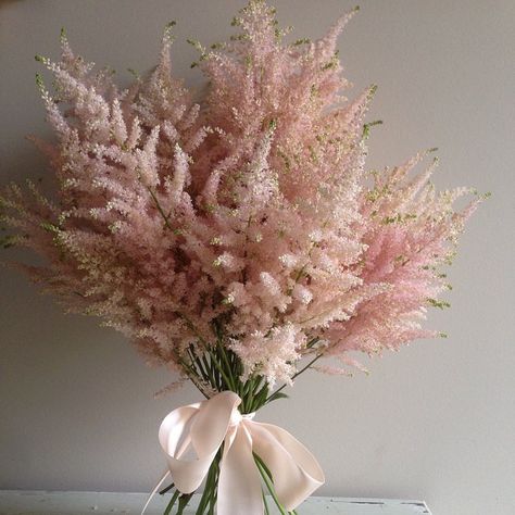 Astilbe. #aschajolie #astilbe #bouquet Astilbe Wedding, Astilbe Flower, Astilbe Bouquet, Peonies Bouquet, Flower Names, Dried Flower Bouquet, Bride Bouquets, Flower Bouquet Wedding, Bridesmaid Bouquet