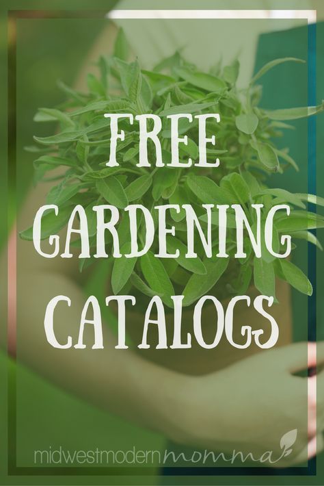 Free Gardening Catalogs Garden Planning Layout, Garden Catalogs, Fall Garden Vegetables, Starting A Garden, Garden Yard Ideas, Back Gardens, Growing Herbs, Modern Landscaping, Back Garden