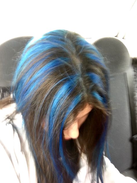 Blue highlights on brown hair Long Hairstyles Simple, Simple Hairdo, Hair Styles For Girls, Blue Hair Highlights, Skunk Hair, Hairstyles Simple, Dyed Hair Blue, Hair Color Underneath, Red Hair Inspo