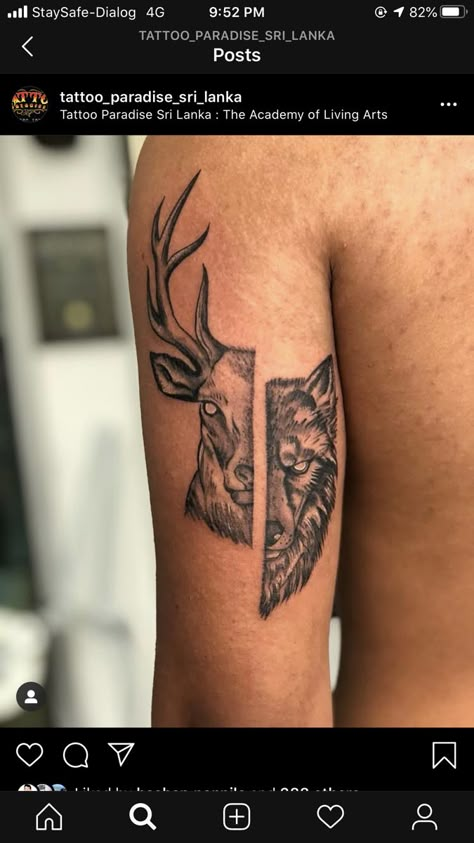 Deer And Bear Tattoo, Deer Wolf Tattoo, Deer And Wolf Tattoo, Buck Tattoo Men, Stag Tattoo Men, Traditional Elk Tattoo, Wildlife Tattoos For Men, Deer Tattoo Men, Pablo Stanley